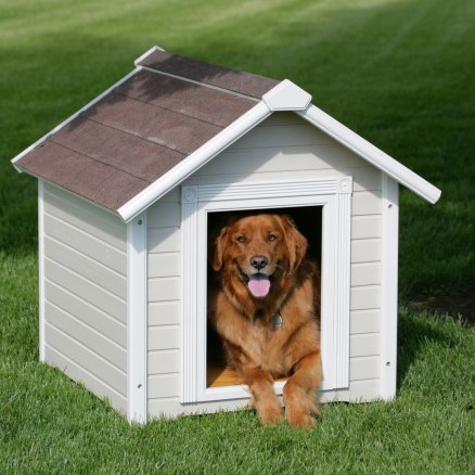 learn_how_to_build_a_dog_house1